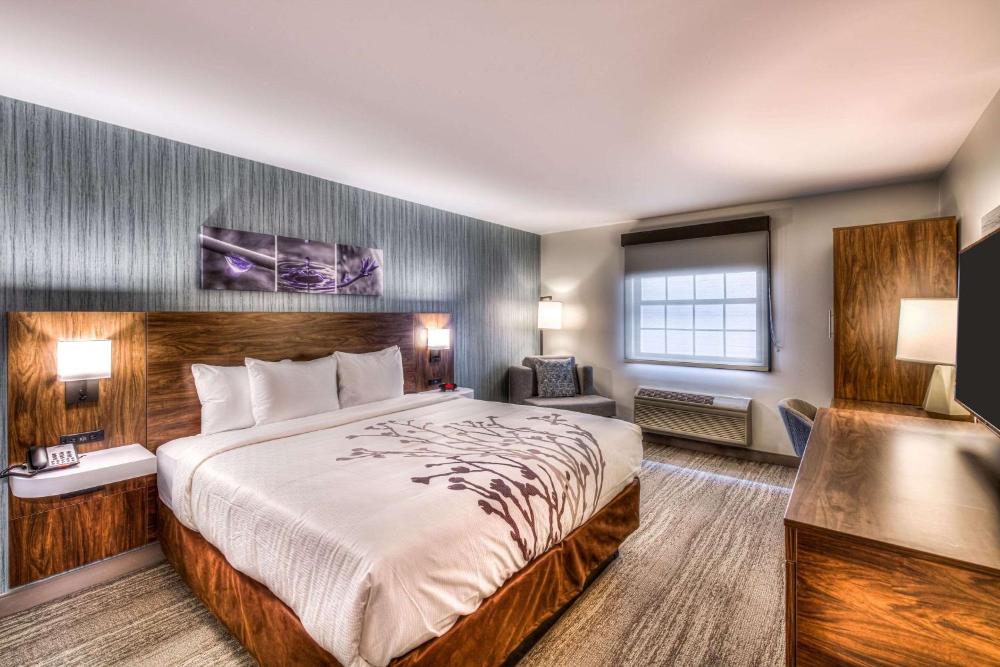 Standard King Room - Non-Smoking  interior